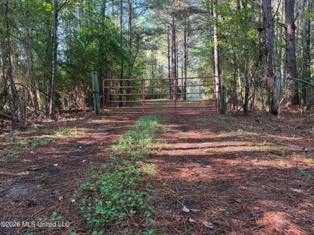 Property photo for land for sale in Smith County Mississippi