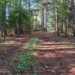 Property photo for land for sale in Smith County Mississippi