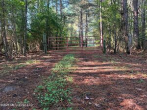Property photo for land for sale in Smith County Mississippi