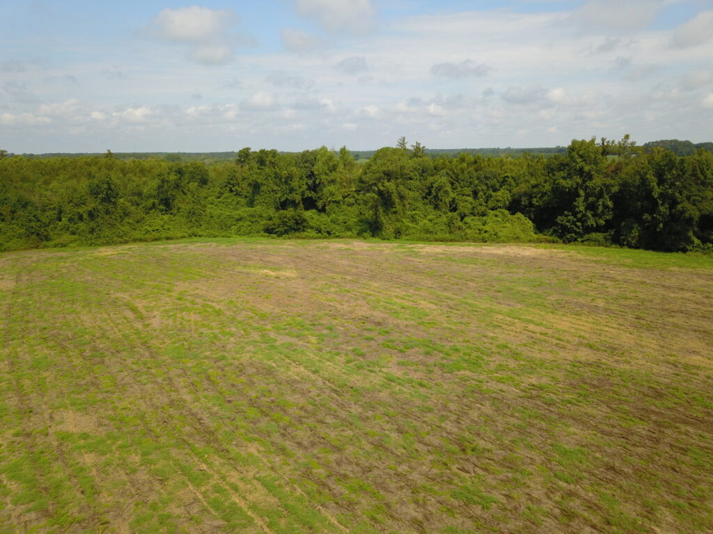 Property photo for land for sale in Duplin County North Carolina