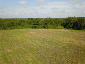 Property photo for land for sale in Duplin County North Carolina