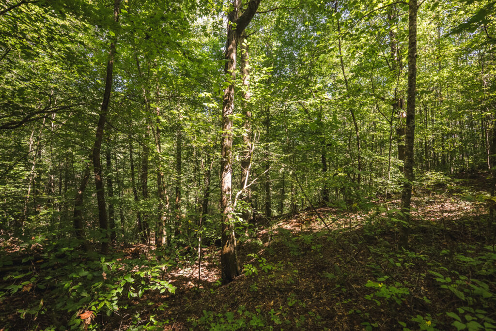 8d76557e-7ae9-49df-b686-f760156fd0e7.jpg