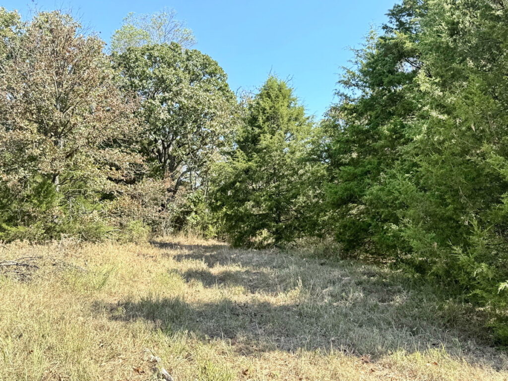 8dec672d-ebdb-46bb-a8ac-b7f63ba440b0.jpg