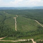 Property photo for land for sale in Nelson County Virginia