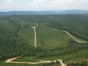 Property photo for land for sale in Nelson County Virginia