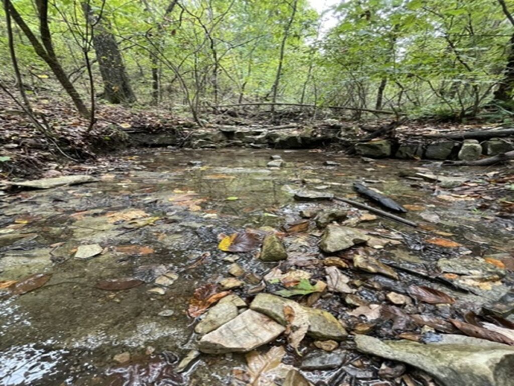 Property photo for land for sale in Marion County Arkansas