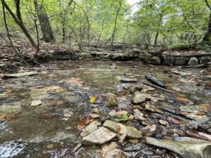 Property photo for land for sale in Marion County Arkansas