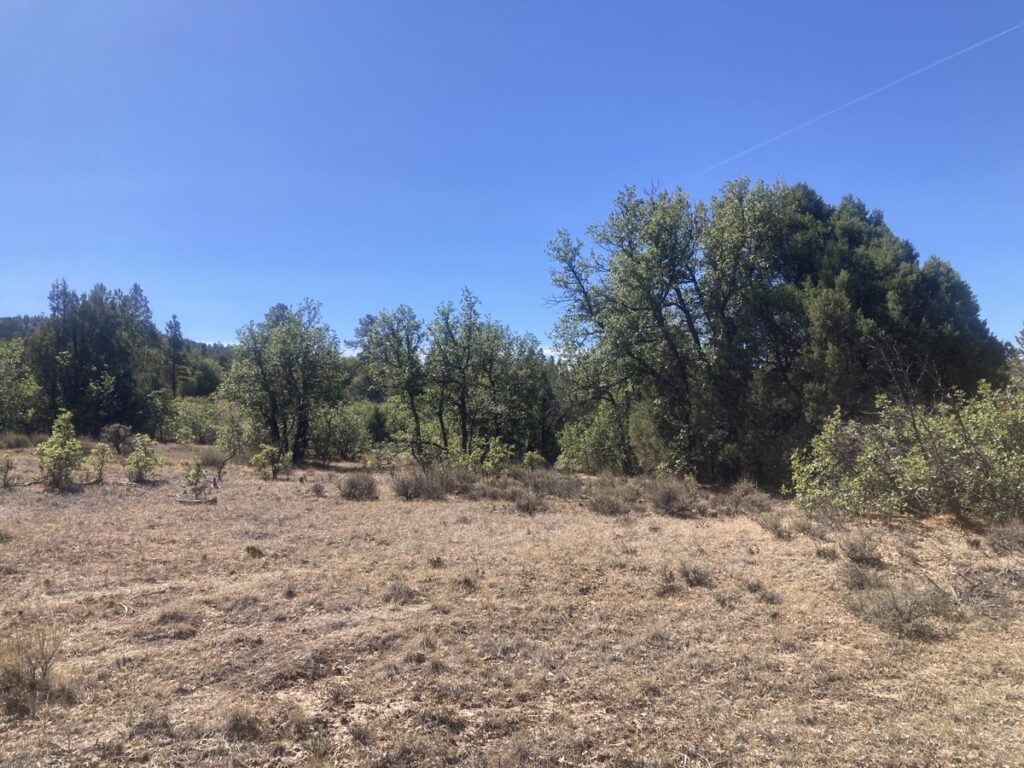 8ed6d533-1b9f-4a5d-83ad-0732b2eb7561.jpg
