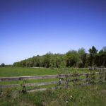 Property photo for land for sale in Washington County Texas