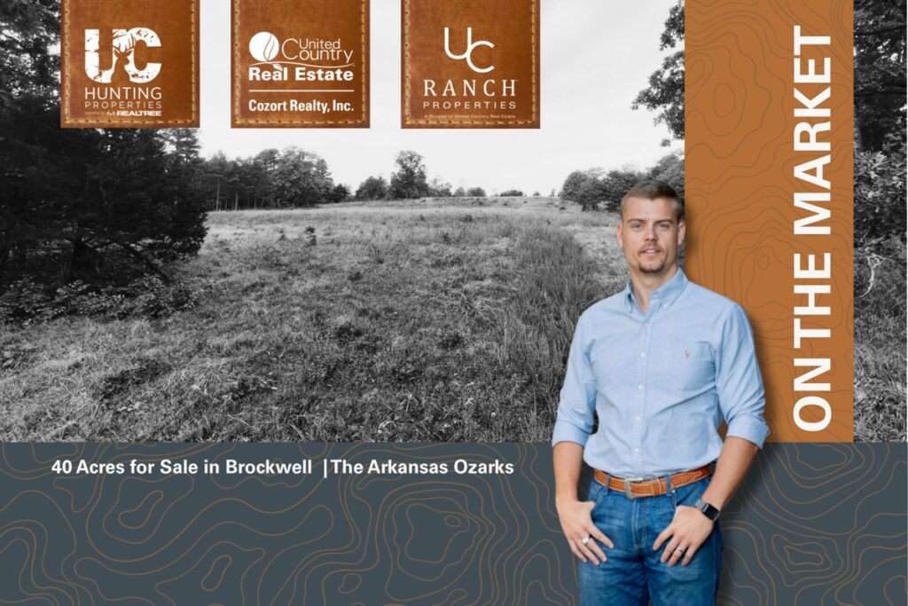 Property photo for land for sale in Izard County Arkansas