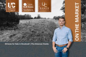 Property photo for land for sale in Izard County Arkansas