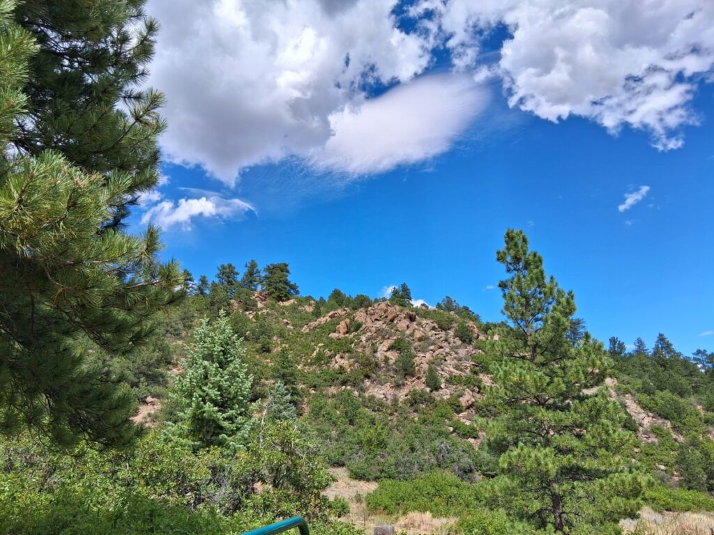 9406e010-5a24-4af0-b84c-4ef94f5b13b0.jpg