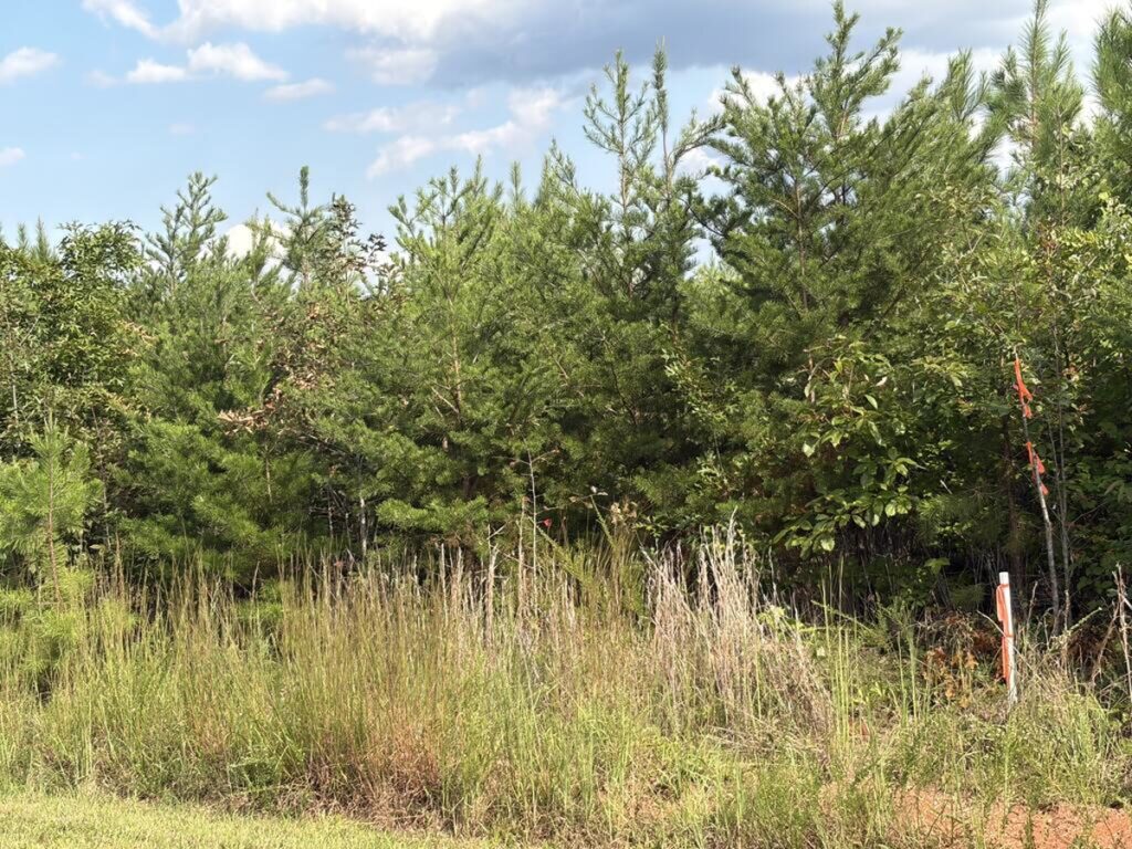 Property photo for land for sale in Halifax County Virginia