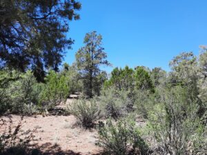 Property photo for land for sale in Yavapai County Arizona