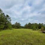 Property photo for land for sale in Chesterfield County South Carolina