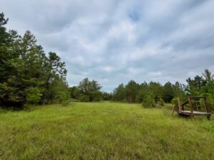 Property photo for land for sale in Chesterfield County South Carolina