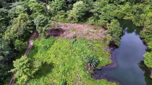 Property photo for land for sale in  County Panama