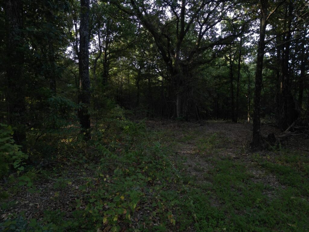 9a2bd786-adff-4343-a3c3-8867d07d7aeb.jpg