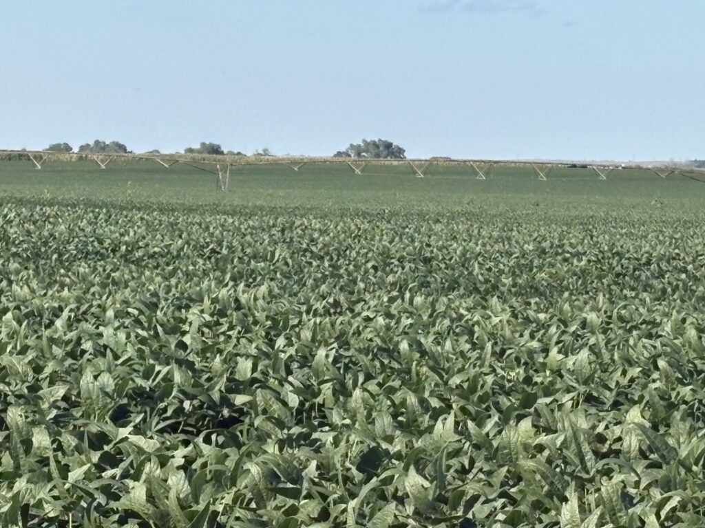 Property photo for land for sale in Dawson County Nebraska