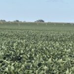 Property photo for land for sale in Dawson County Nebraska
