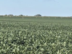 Property photo for land for sale in Dawson County Nebraska