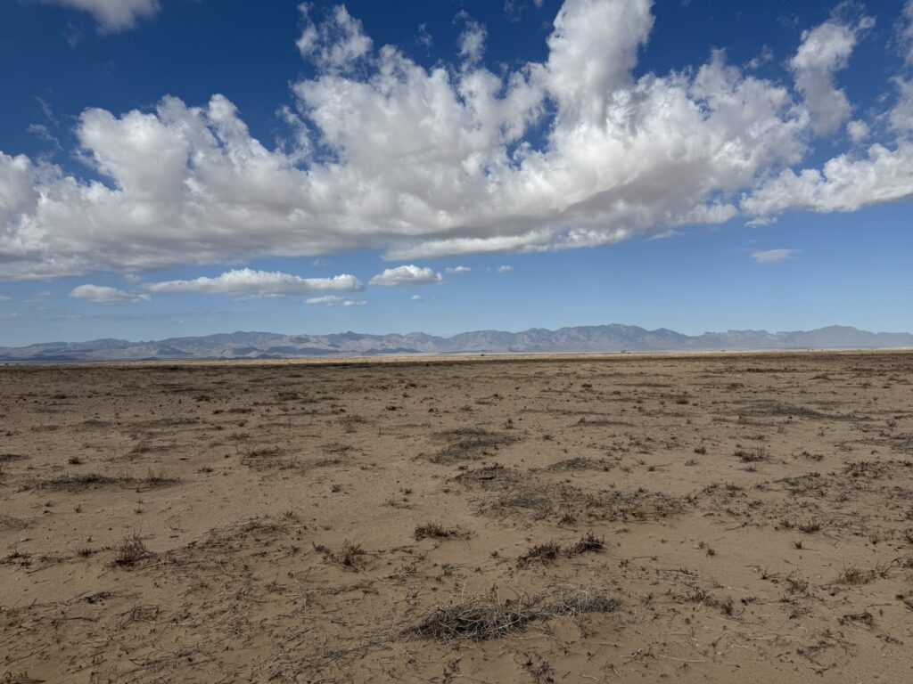 9a34625e-be69-40f5-b92d-24b41128f7fd.jpg