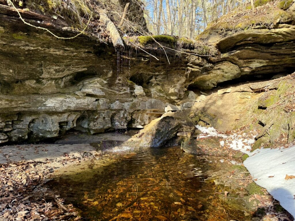 9a4064c8-b593-47d7-929f-526b21cd8118.jpg