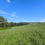 Property photo for land for sale in Floyd County Virginia