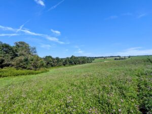 Property photo for land for sale in Floyd County Virginia
