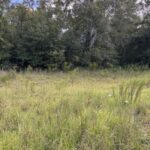 Property photo for land for sale in Suwannee County Florida