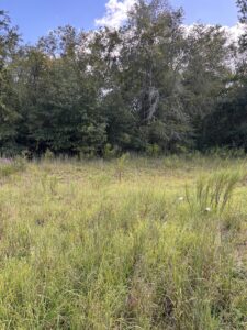 Property photo for land for sale in Suwannee County Florida