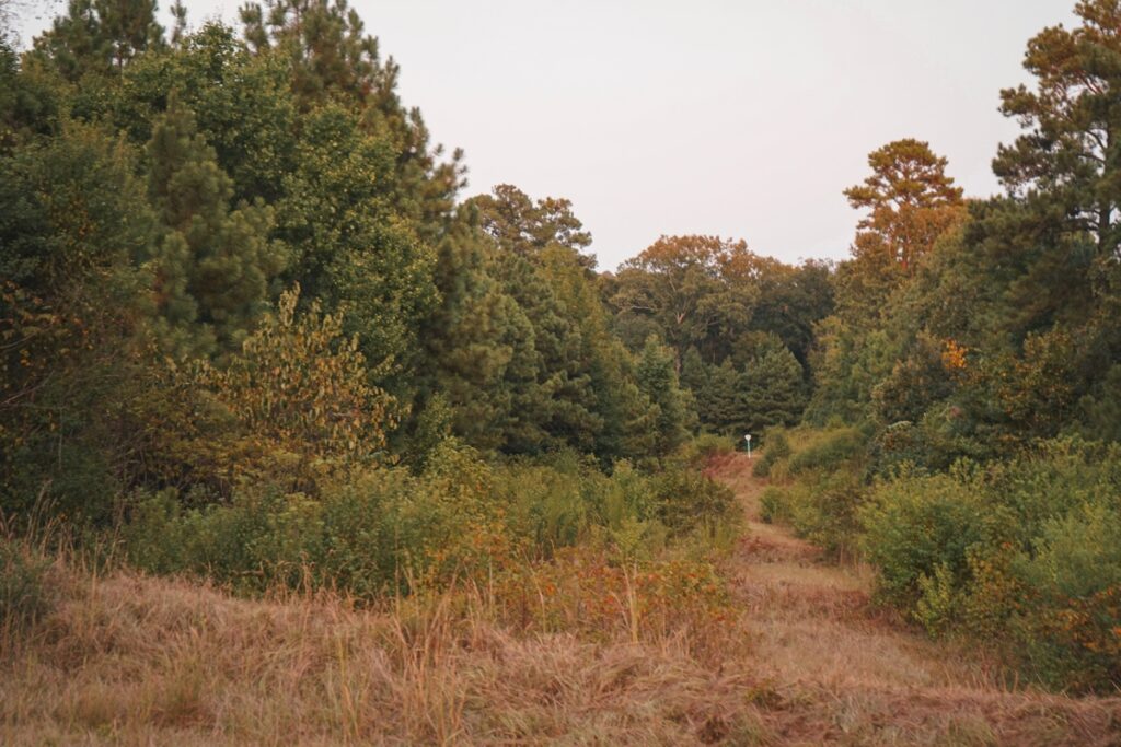 9ea188ae-a6ec-41db-98f0-896712bc3950.jpg