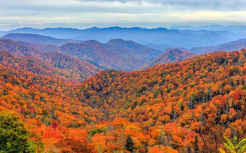 Great Smoky Mountains National Park