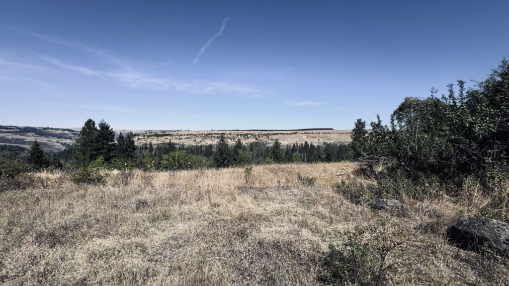 a3dce256-6ca8-42c1-8a7a-afb84a809f27.jpg