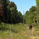Property photo for land for sale in Latimer County Oklahoma