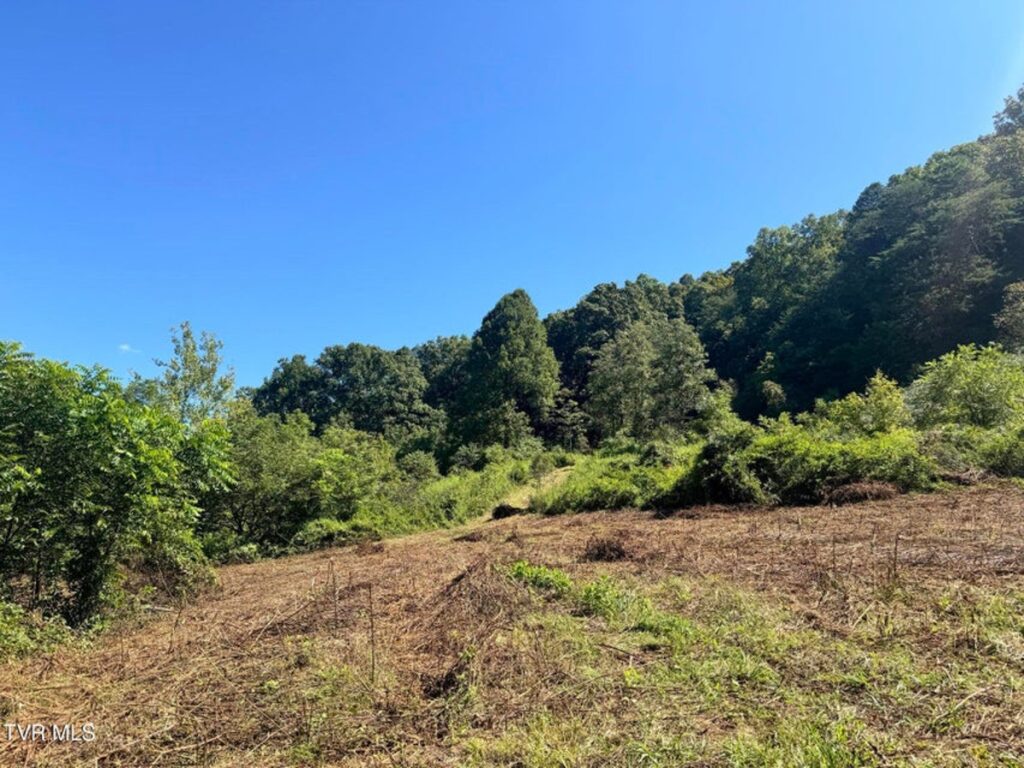 Property photo for land for sale in Hancock County Tennessee