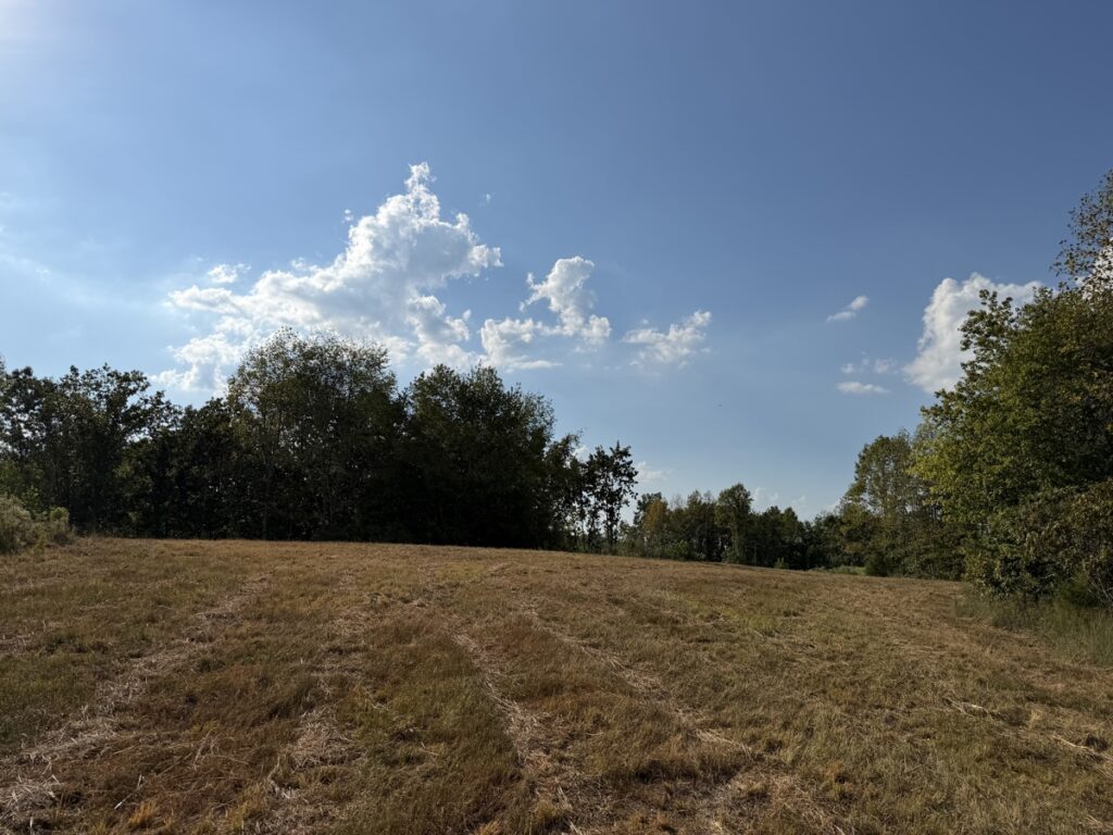 a5318634-1140-4974-99e7-033df1585bd2.jpg