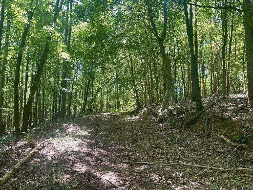 Property photo for land for sale in Lawrence County Tennessee