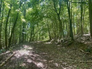 Property photo for land for sale in Lawrence County Tennessee