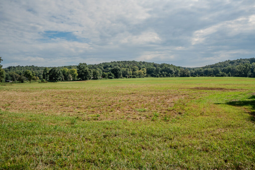 a6ee2f0e-ac24-4089-937f-cad58432a914.jpg