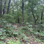 Property photo for land for sale in Mayes County Oklahoma