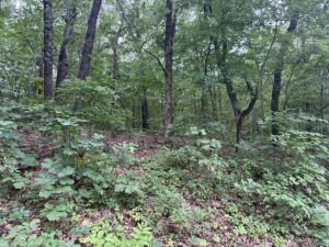 Property photo for land for sale in Mayes County Oklahoma