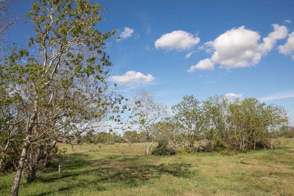 Property photo for land for sale in Austin County Texas