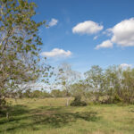 Property photo for land for sale in Austin County Texas