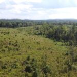 Property photo for land for sale in Halifax County Virginia