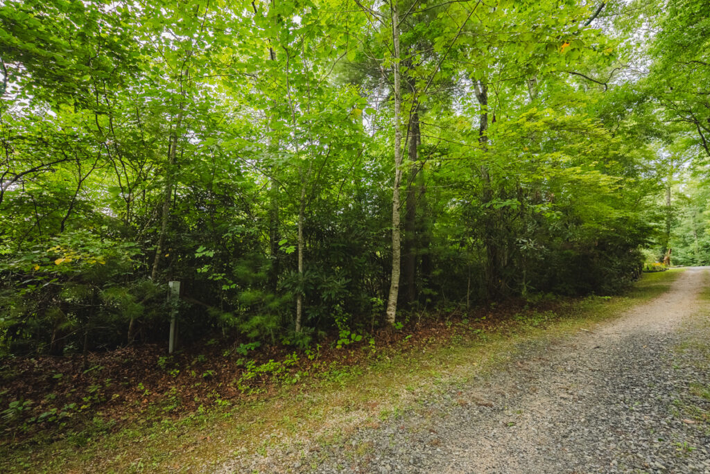 aa9d08db-2729-415e-9c13-3999cc09a0d3.jpg