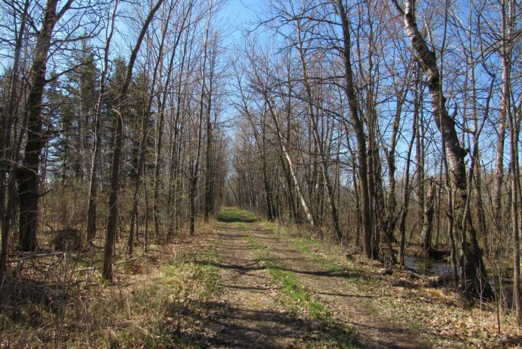 Property photo for land for sale in Pine County Minnesota
