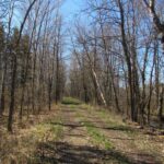 Property photo for land for sale in Pine County Minnesota