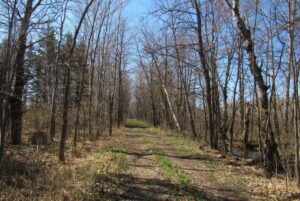 Property photo for land for sale in Pine County Minnesota