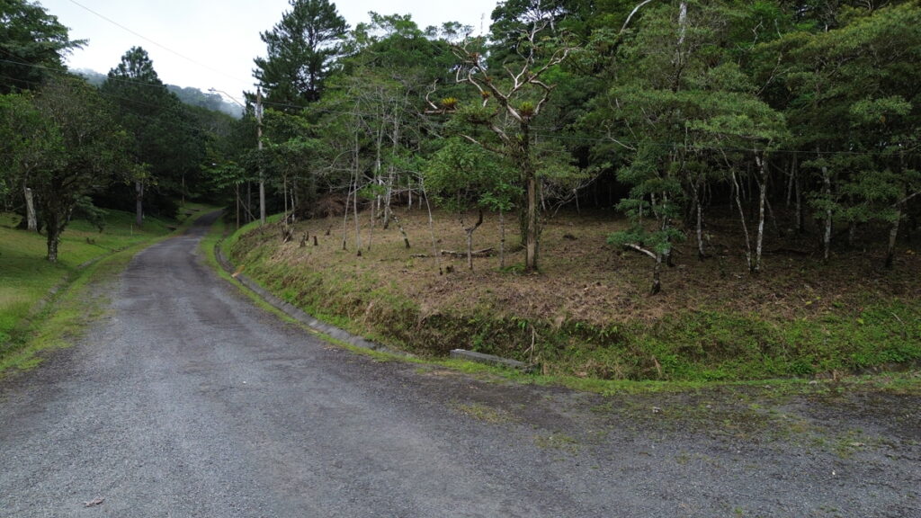 af762d57-4195-48bd-b27e-9dc2e82f38db.jpg
